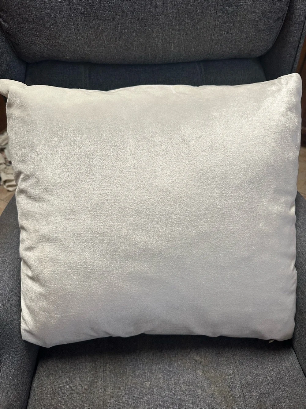 Z Gallerie Joie De Vivre Pillow 22